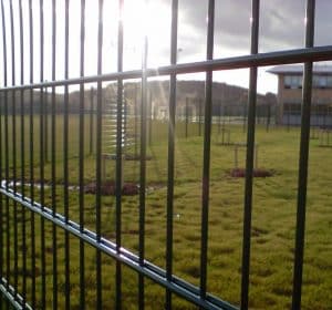 Twin wire weldmesh fence