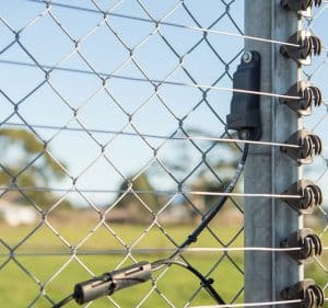 Z20 on fence