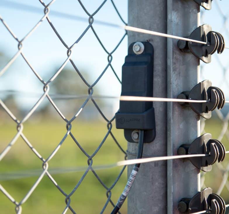 z20 on fence